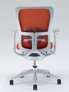zody lumbar support Hawort Zody lumbar and pelvis support