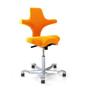 Ergo247 Com Ergonomic Task Chair And Office Furniture Reviews