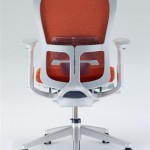 zody lumbar support